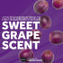 EXS Oral Dams Grape