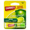 Carmex Lime Twist 4,25 g