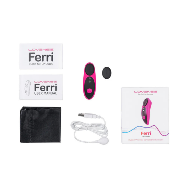 Flat-lay collection shot displaying the Lovense Ferri vibrator, magnetic cap, retail box, user manual, quick setup guide, USB charging cable, and black storage pouch.
